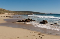 AUS - Cape Naturaliste o2778